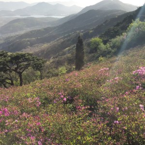 BBM KOREA | Ganghwado, South Korea | Goryeosan Mountain