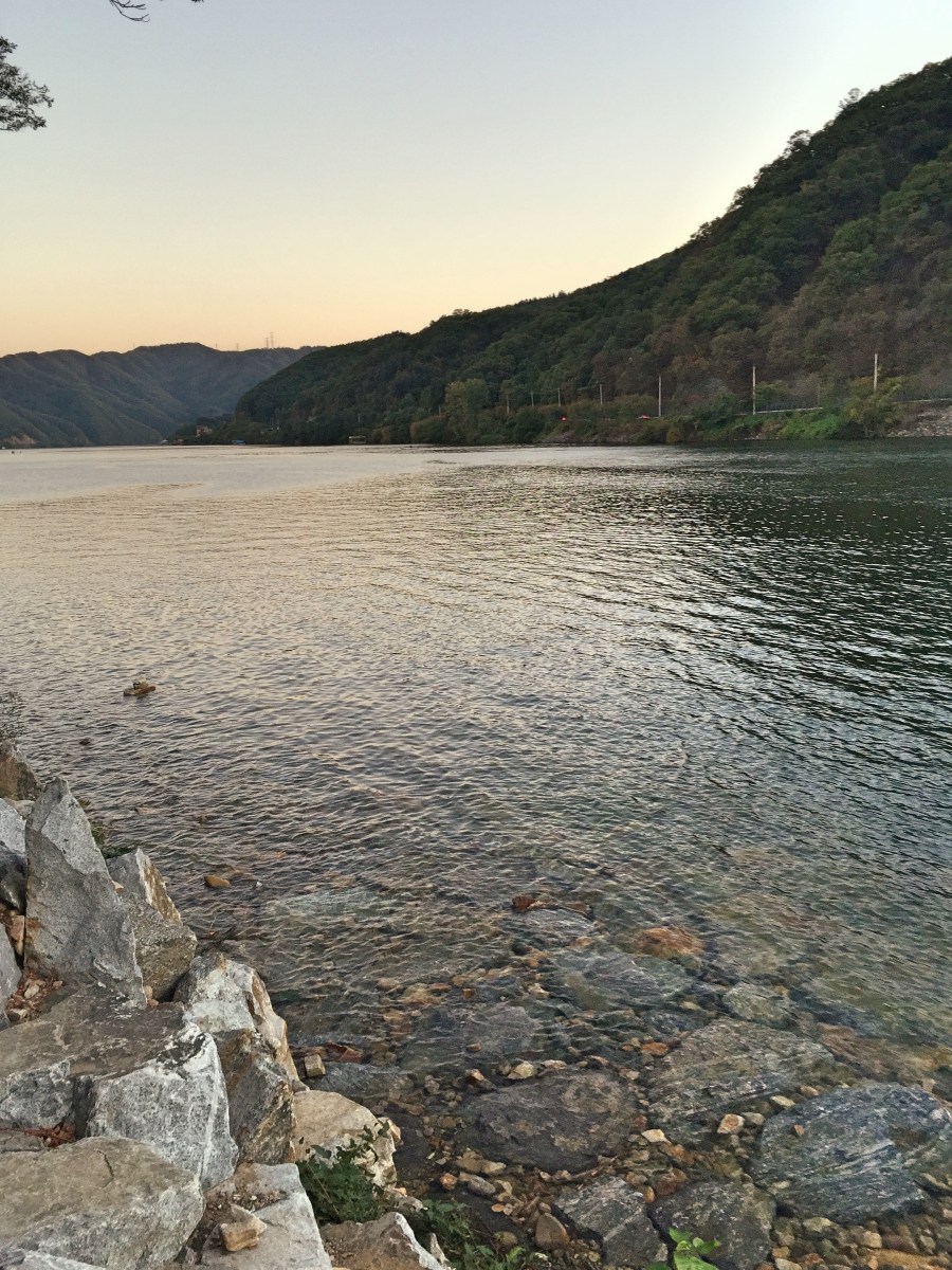 BBM KOREA | Nami Island, South Korea