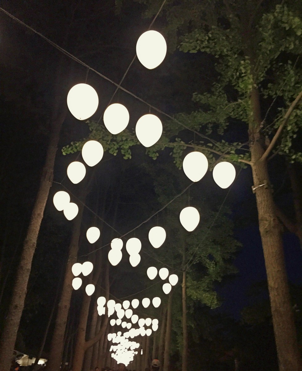 BBM KOREA | Nami Island, South Korea
