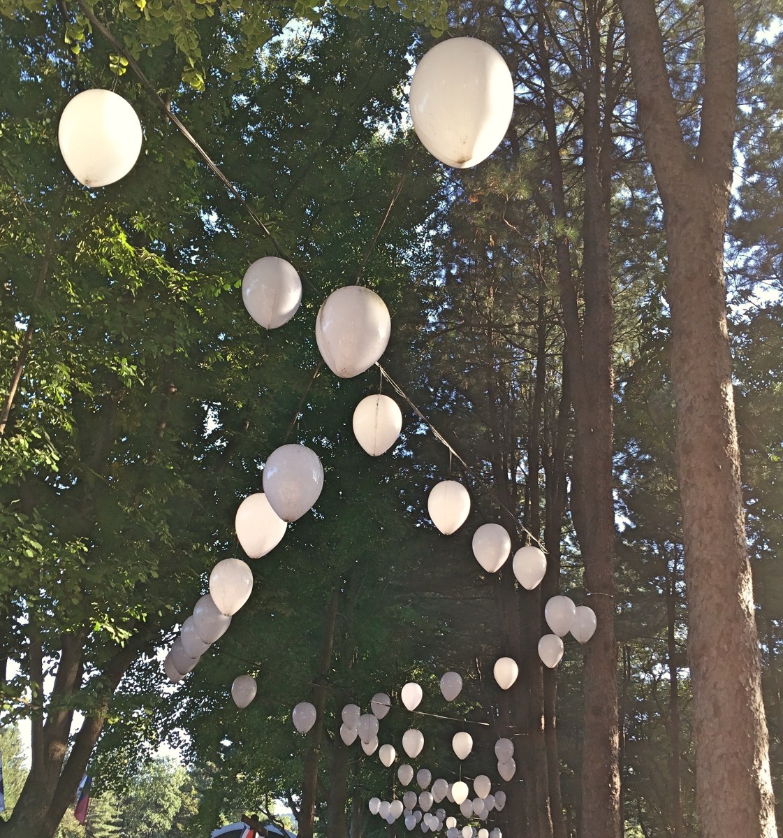 BBM KOREA | Nami Island, South Korea