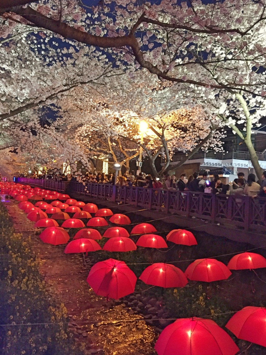 BBM KOREA | Jinhae, South Korea | Cherry Blossom Festival