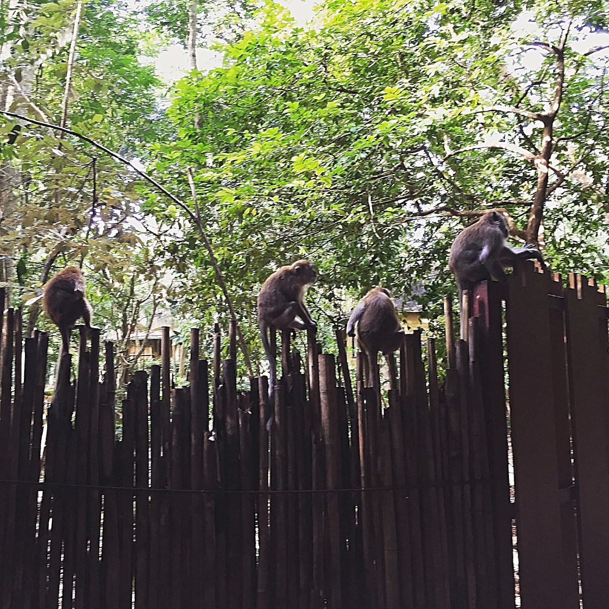 BBM KOREA | Krabi Thailand | Rai Leh Beach