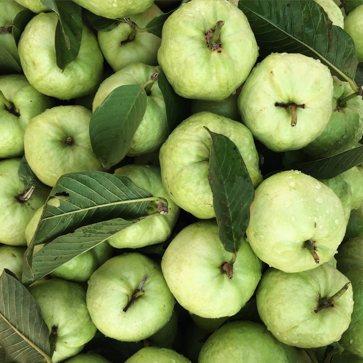 BBM KOREA | Amphawa, Thailand | Fruit Stand