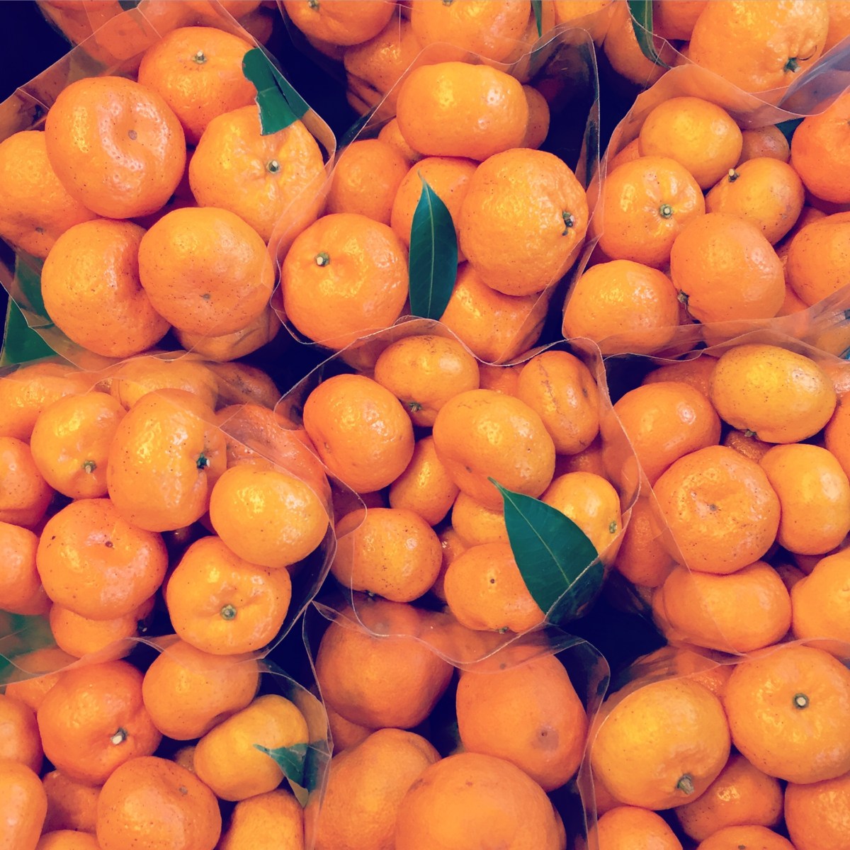 BBM KOREA | Amphawa, Thailand | Fruit Stand