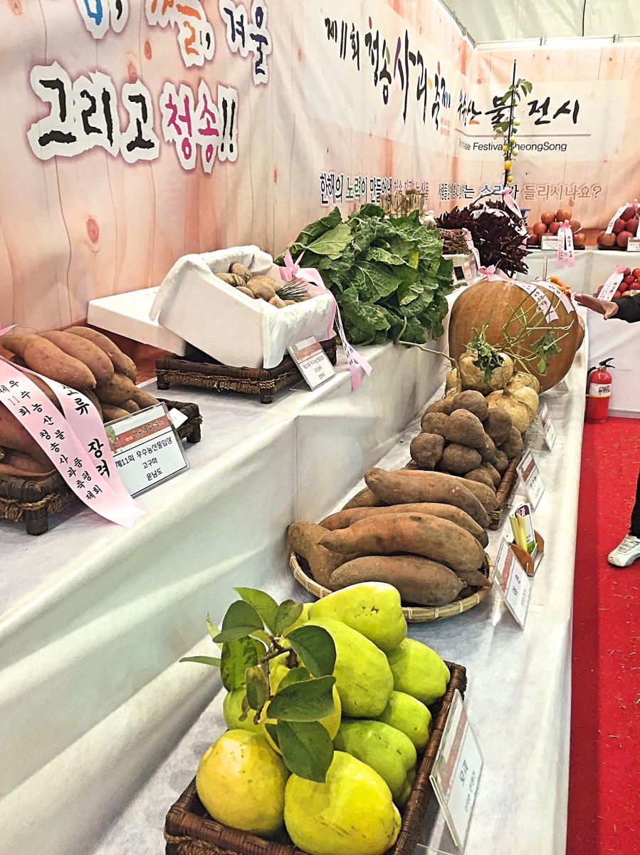 BBM KOREA | Cheongsong, South Korea | Cheongsong Apple Festival