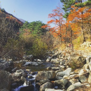 BBM KOREA | Sokcho, Korea | Seoraksan National Park