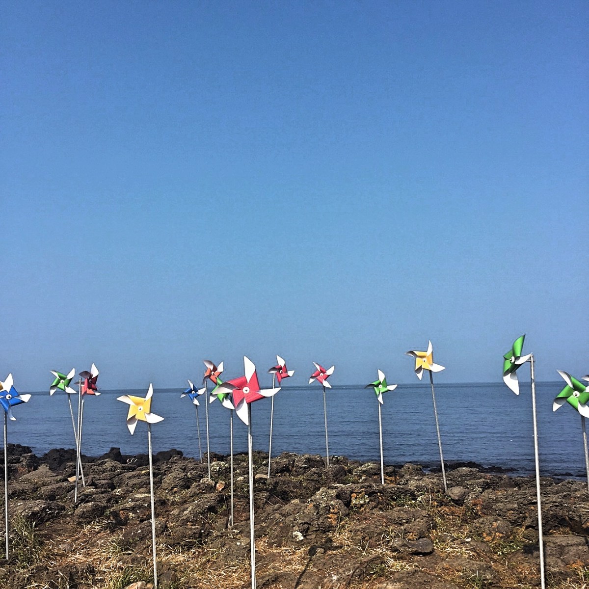 BBM KOREA | Jeju Island, South Korea | Udo Island