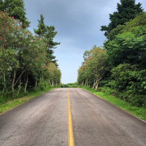 BBM KOREA | Jeju Island, South Korea 