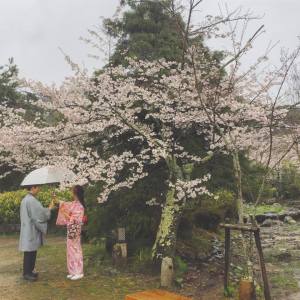 BBM KOREA | Kyoto, Japan | Maruyama Park