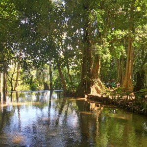 BBM TRAVELS | Luang Prabang, Laos | Kuang Si Waterfalls
